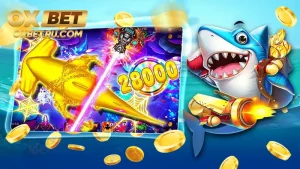 Tổng quan về hình thức