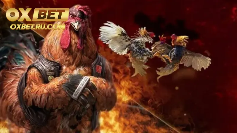 Đá Gà 3D OXBET: Giải Trí Đỉnh Cao, Thưởng Không Giới Hạn %count(title) Đặc điểm nhận dạng