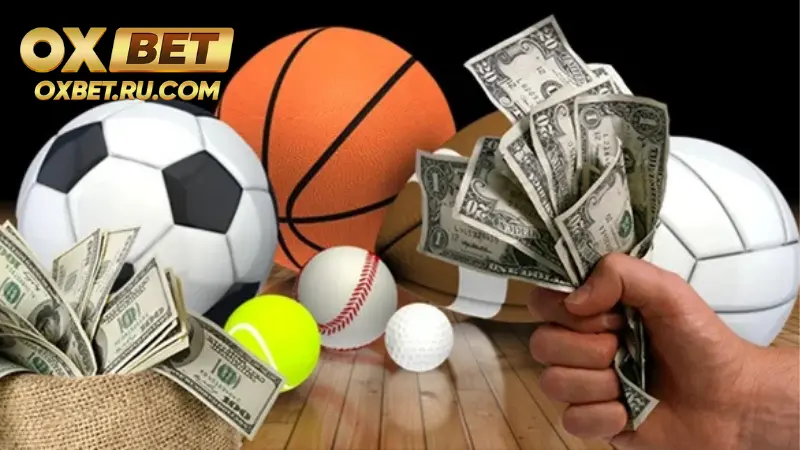 K-Thể Thao – Sảnh Thể Thao Mượt Mà Và Tỷ Lệ Kèo Cao %count(title) Tỷ lệ thưởng của K-thể thao