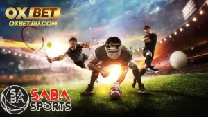 Cần tìm hiểu kỹ thông tin khi chơi SABA thể thao OXBET