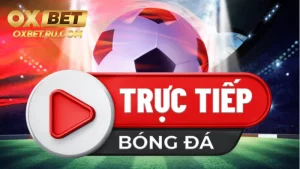 Tổng quan về trực tiếp xổ số miền bắc